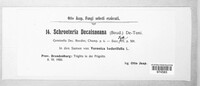 Schroeteria decaisneana image